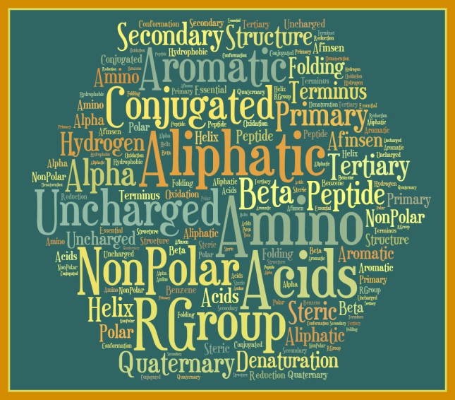 AA & Proteins Wordle